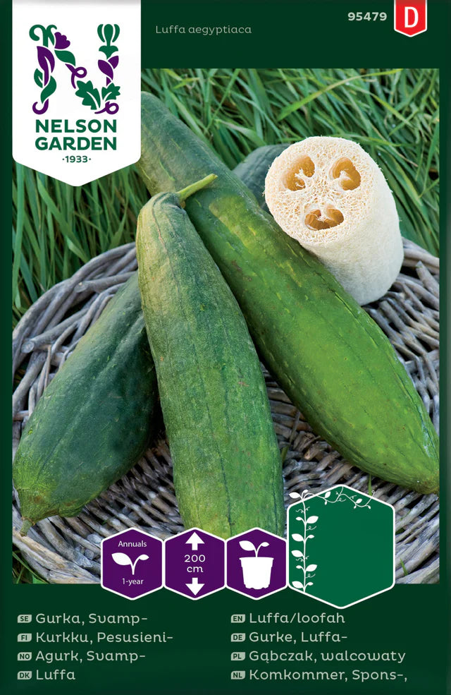 Bilde av Agurk, Svamp-Spanne Plantesalg