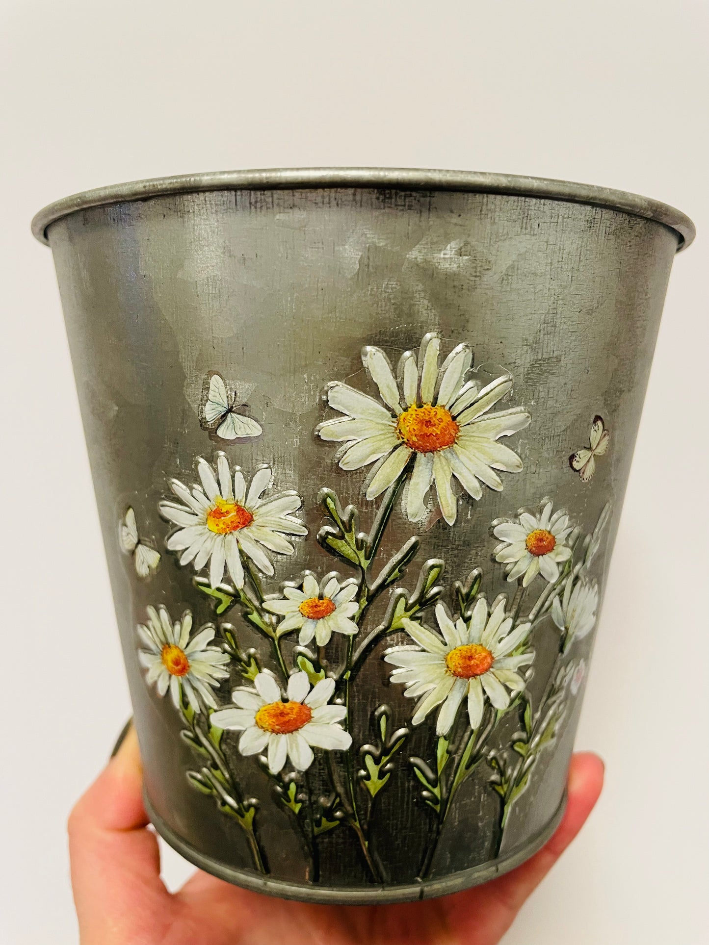 Bilde av Margeritt potte i sink 13 cm-Spanne Plantesalg