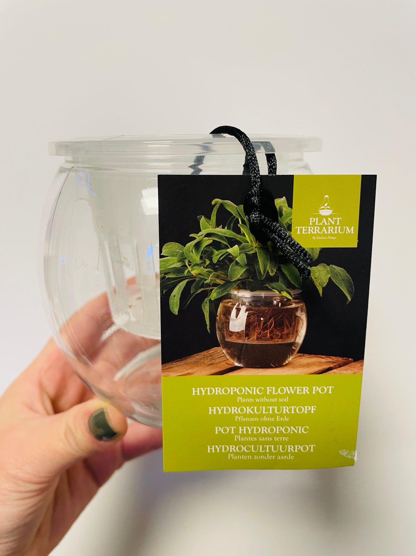 Bilde av Hydroponic flower pot S-Spanne Plantesalg