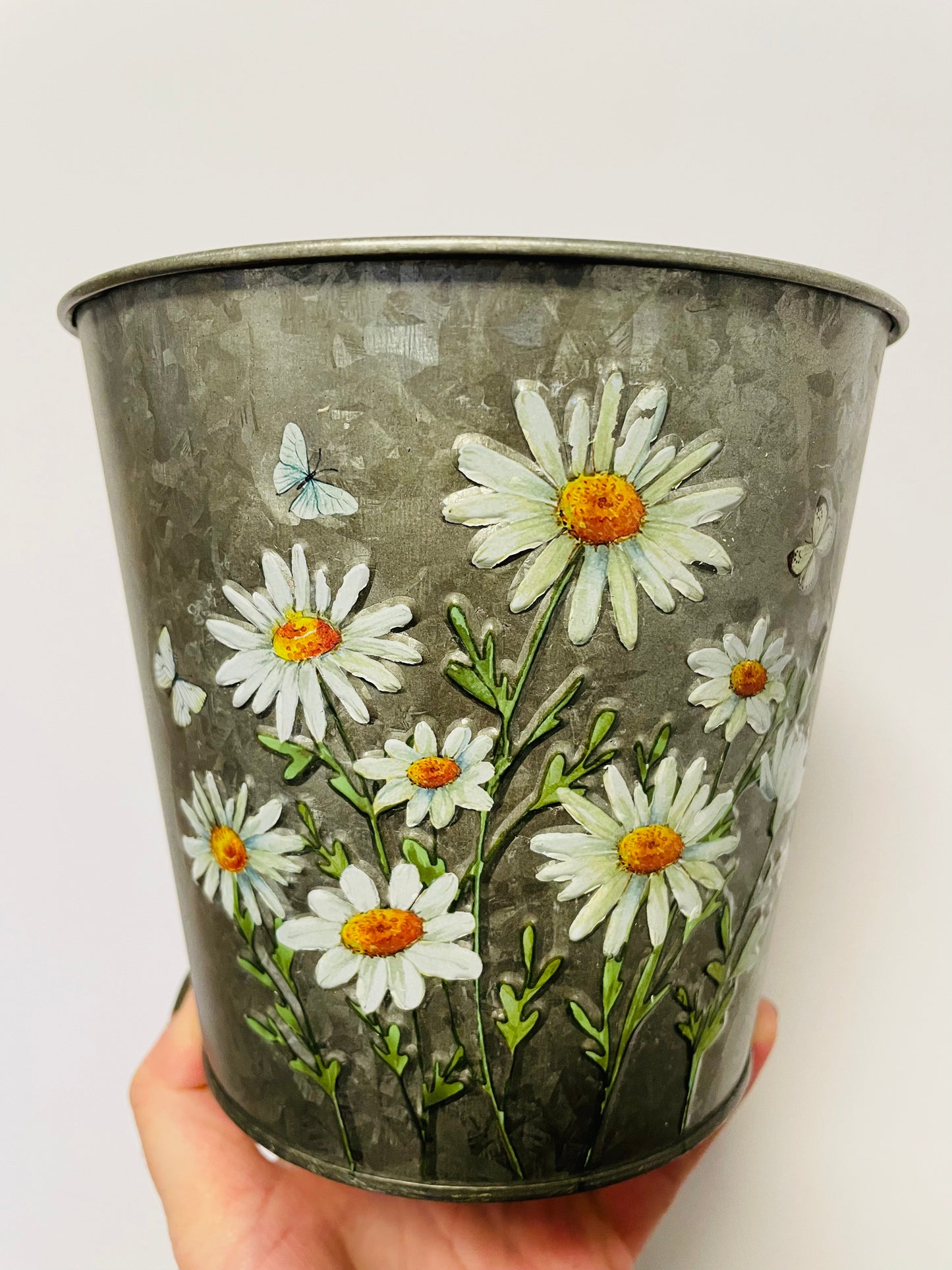 Bilde av Margeritt potte i sink 15 cm-Spanne Plantesalg
