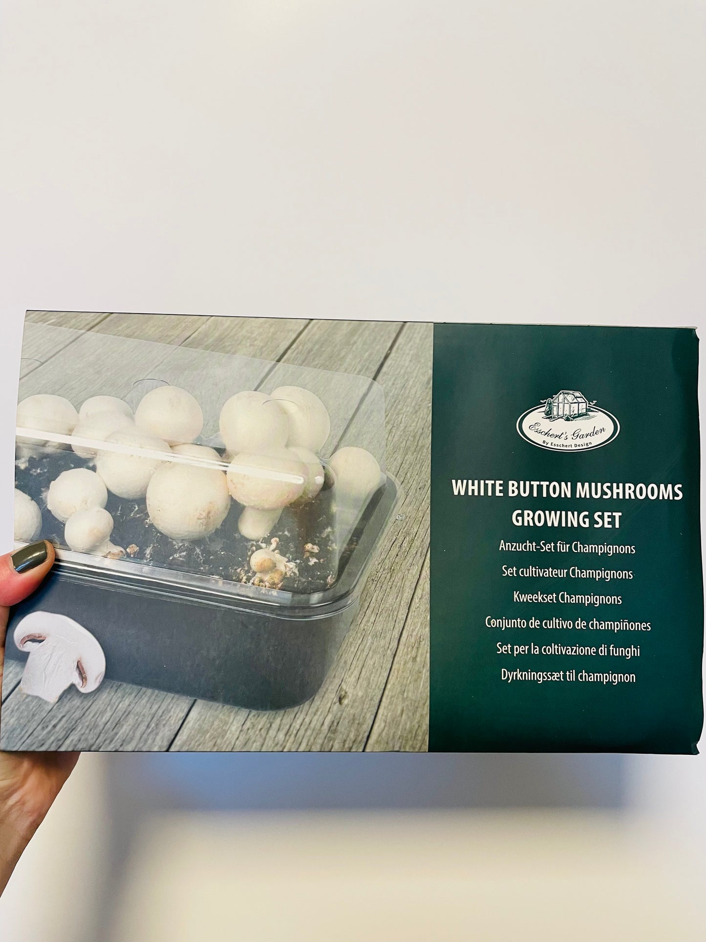 Bilde av Mushroom grow set-Spanne Plantesalg