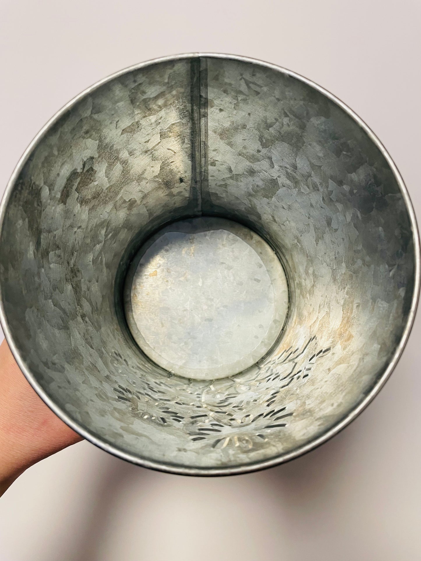 Bilde av Margeritt potte i sink 15 cm-Spanne Plantesalg
