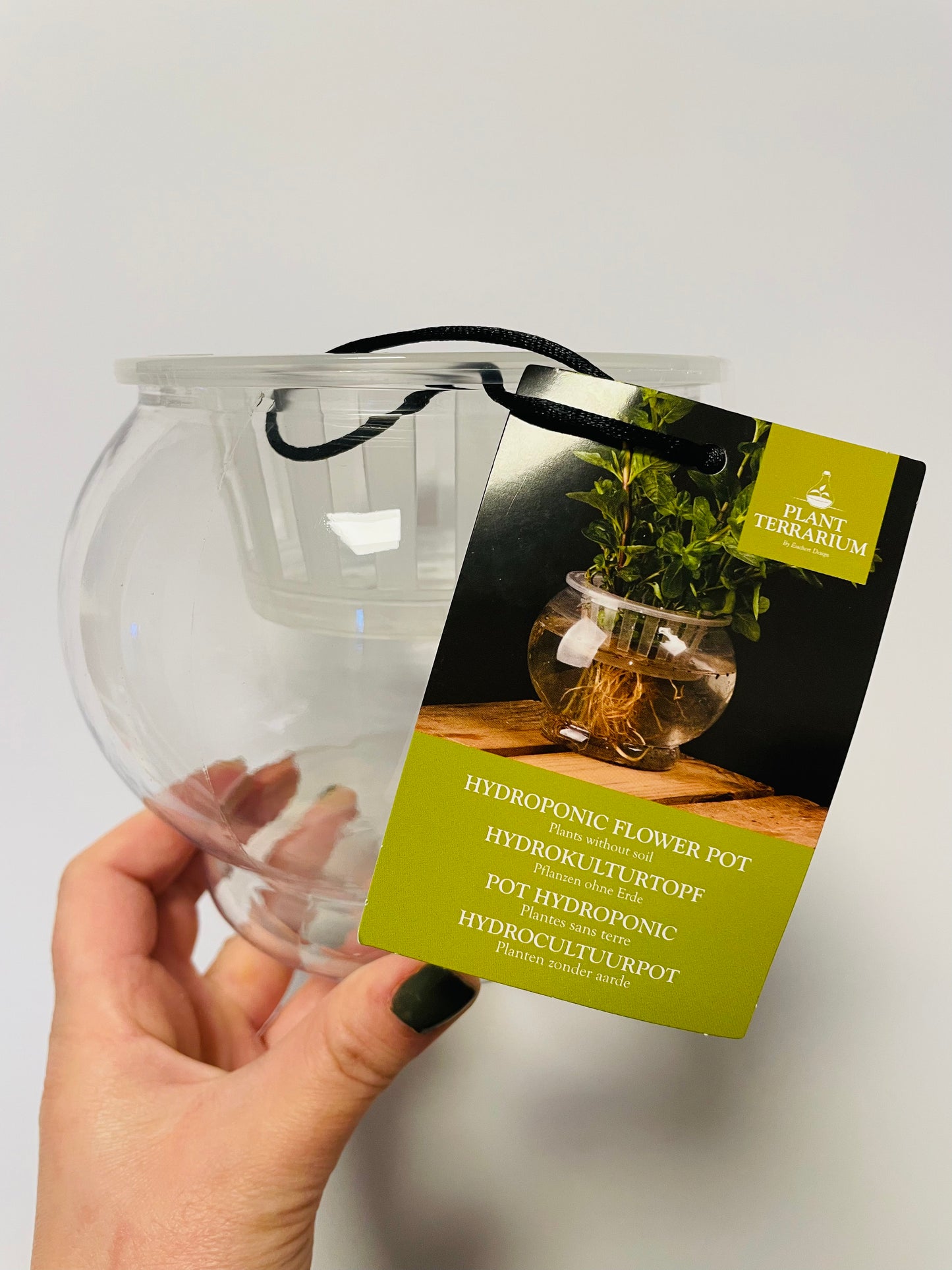 Bilde av Hydroponic flower pot M-Spanne Plantesalg