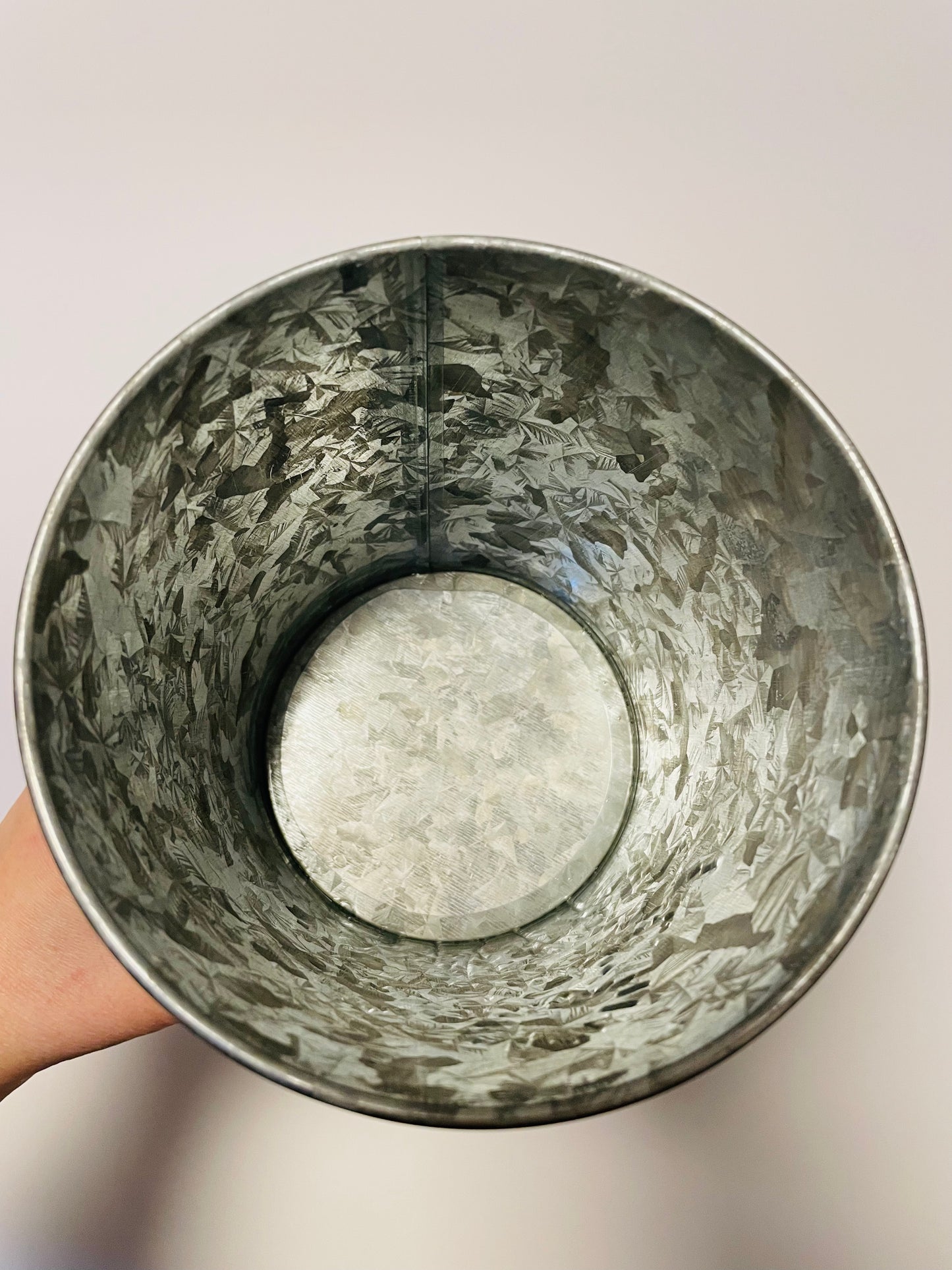 Bilde av Margeritt potte i sink 13 cm-Spanne Plantesalg