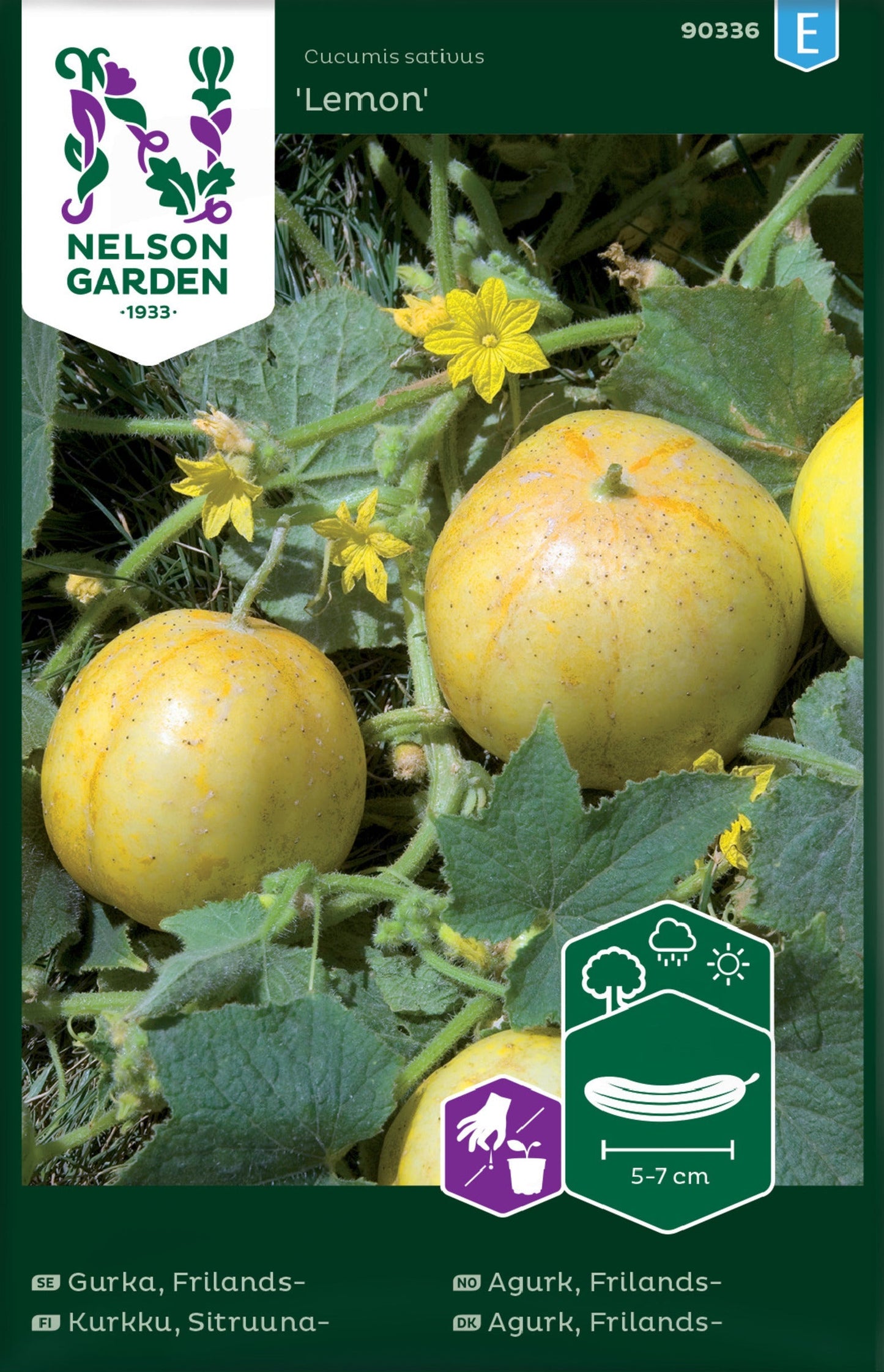 Bilde av Agurk, Frilands-, Lemon-Spanne Plantesalg