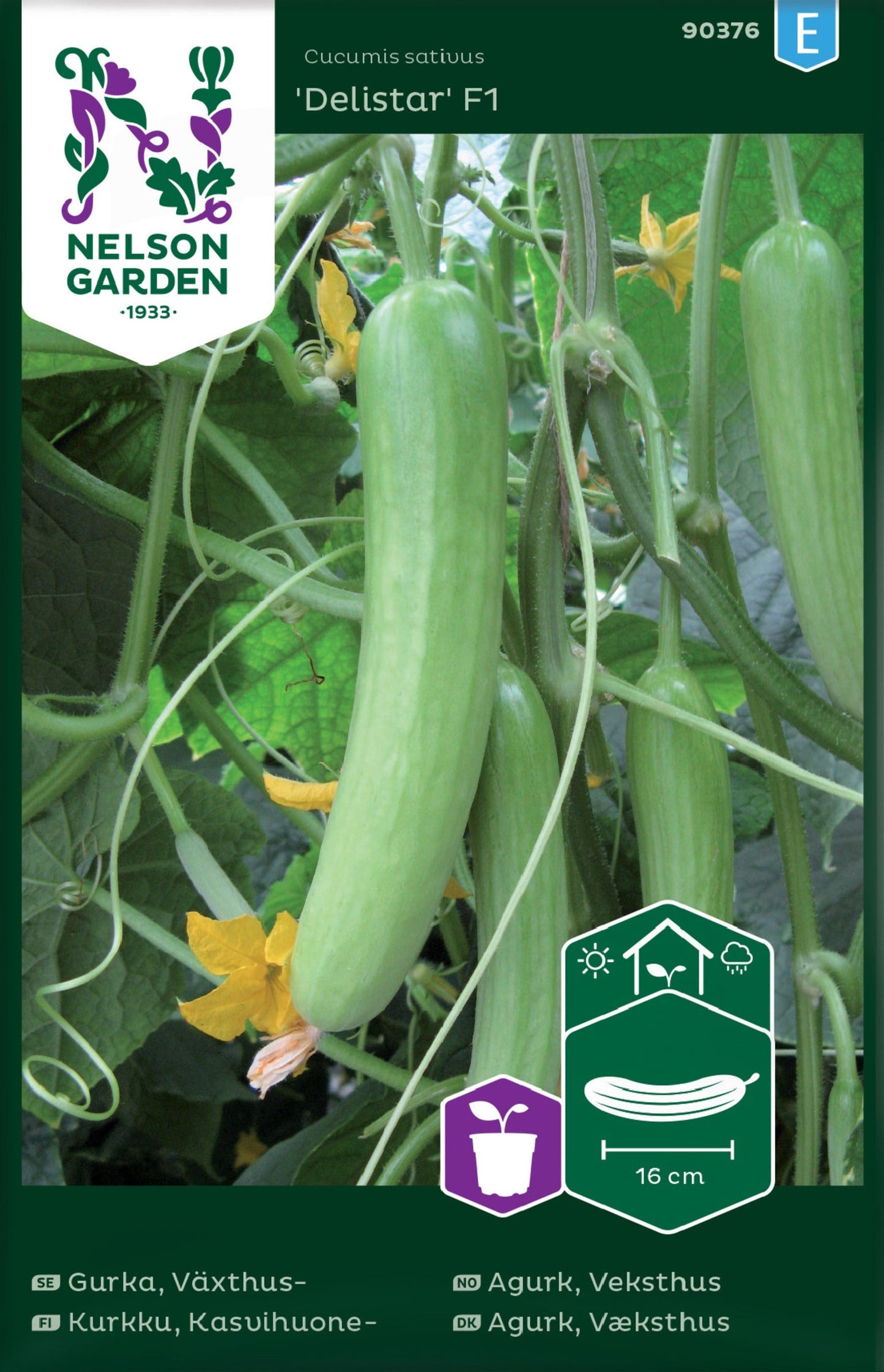 Bilde av Agurk, Slange-, mini, Veksthus,Delistar-Spanne Plantesalg