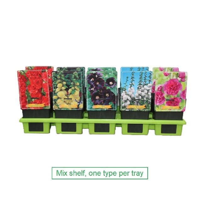 Bilde av Alcea Rosea Mix-Spanne Plantesalg