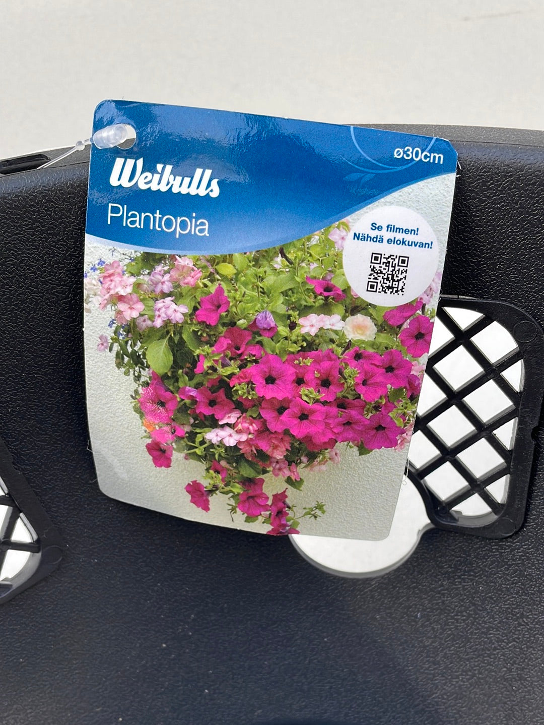 Bilde av Ampel i plast med rustfritt stål henger 30 cm-Spanne Plantesalg