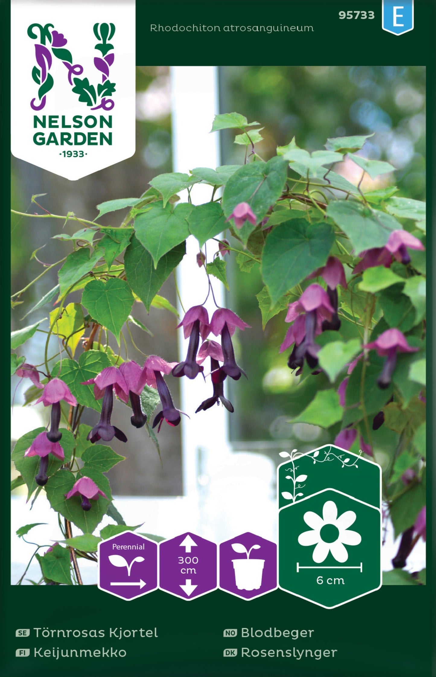 Bilde av Blodbeger-Spanne Plantesalg