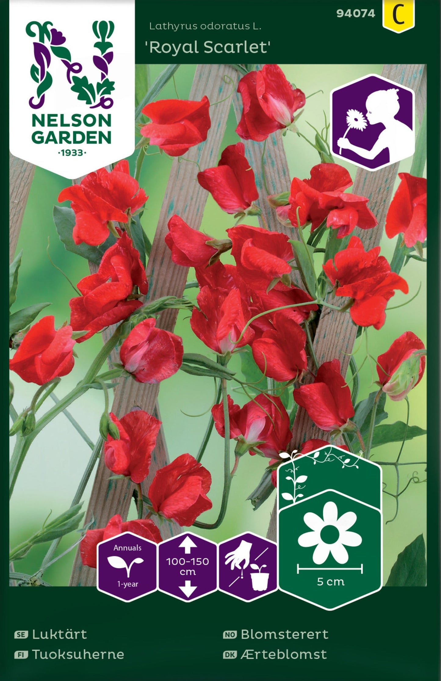 Bilde av Blomsterert, Royal Scarlet, rød-Spanne Plantesalg