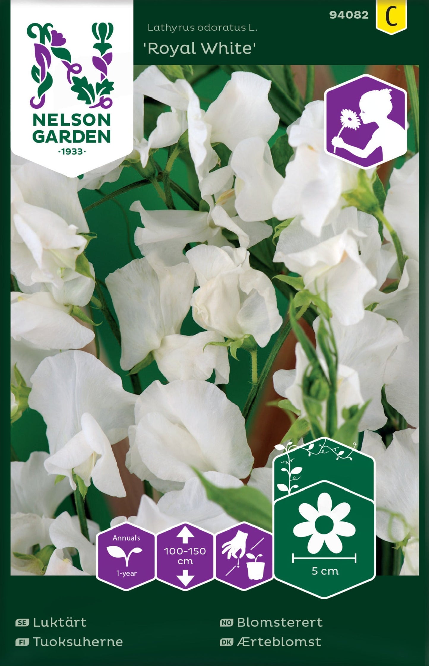 Bilde av Blomsterert, Royal White, hvit-Spanne Plantesalg