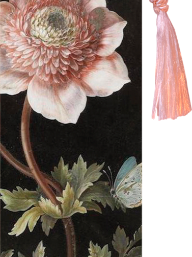 Bilde av Bokmerke-Spanne Plantesalg