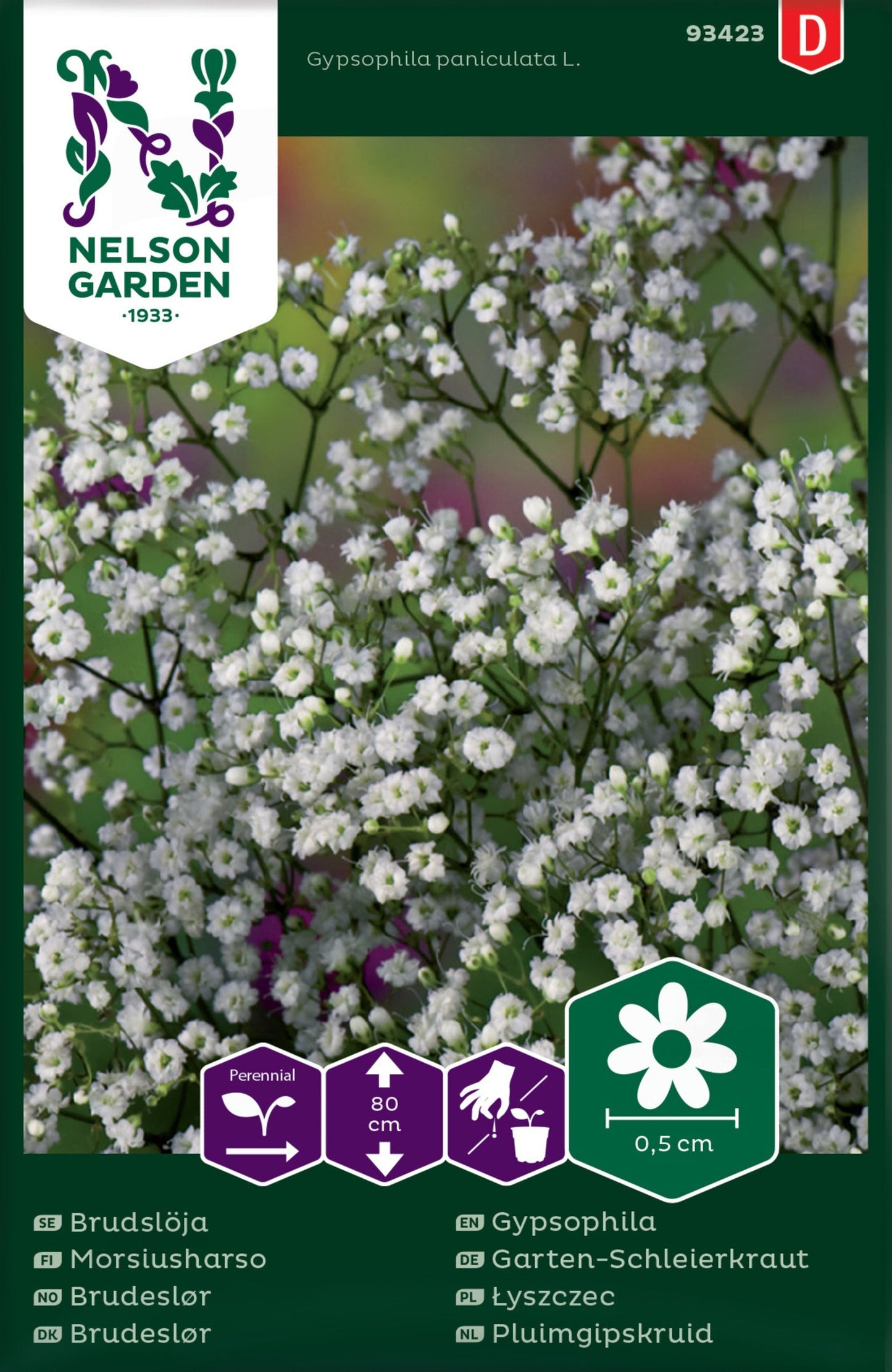 Bilde av Brudeslør, Enkel, hvit-Spanne Plantesalg