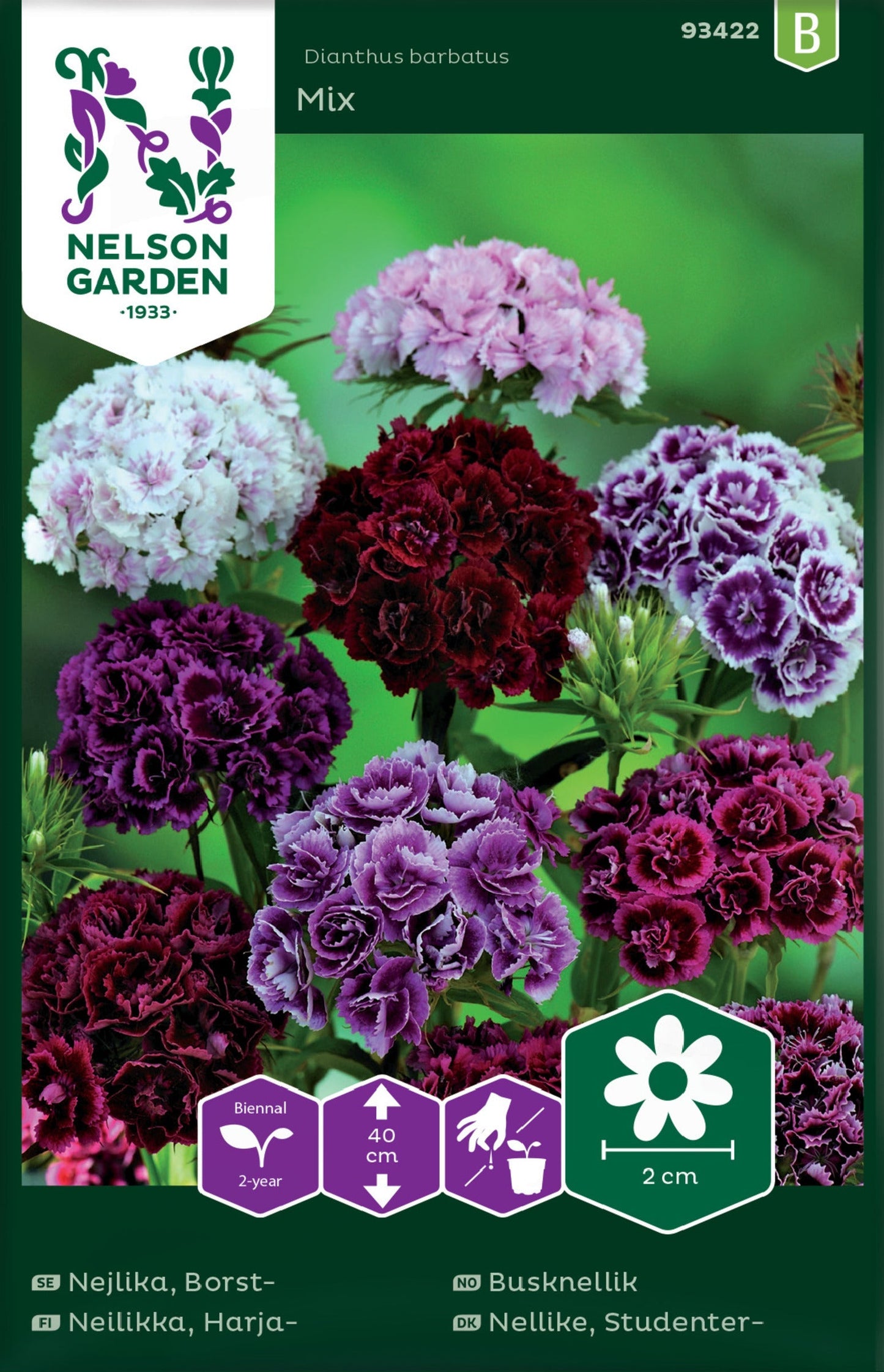 Bilde av Busknellik, Mixed Double, bl. farger-Spanne Plantesalg