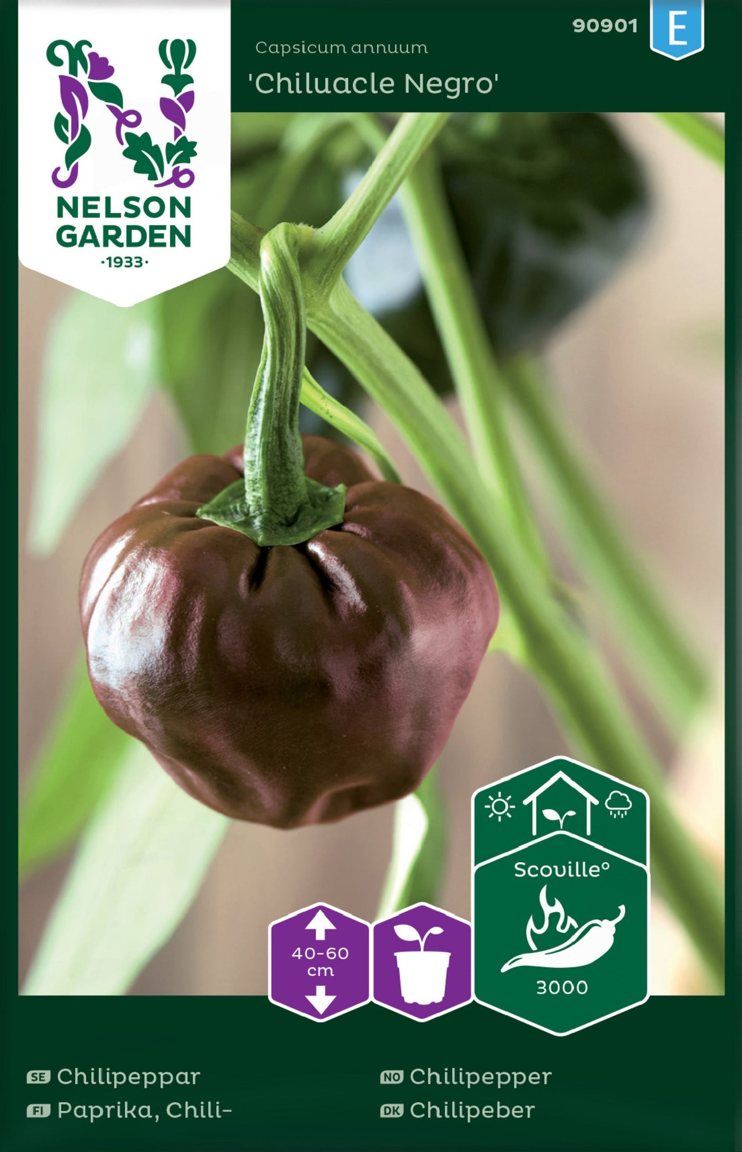 Bilde av Chilipepper, Chiluacle Negro-Spanne Plantesalg
