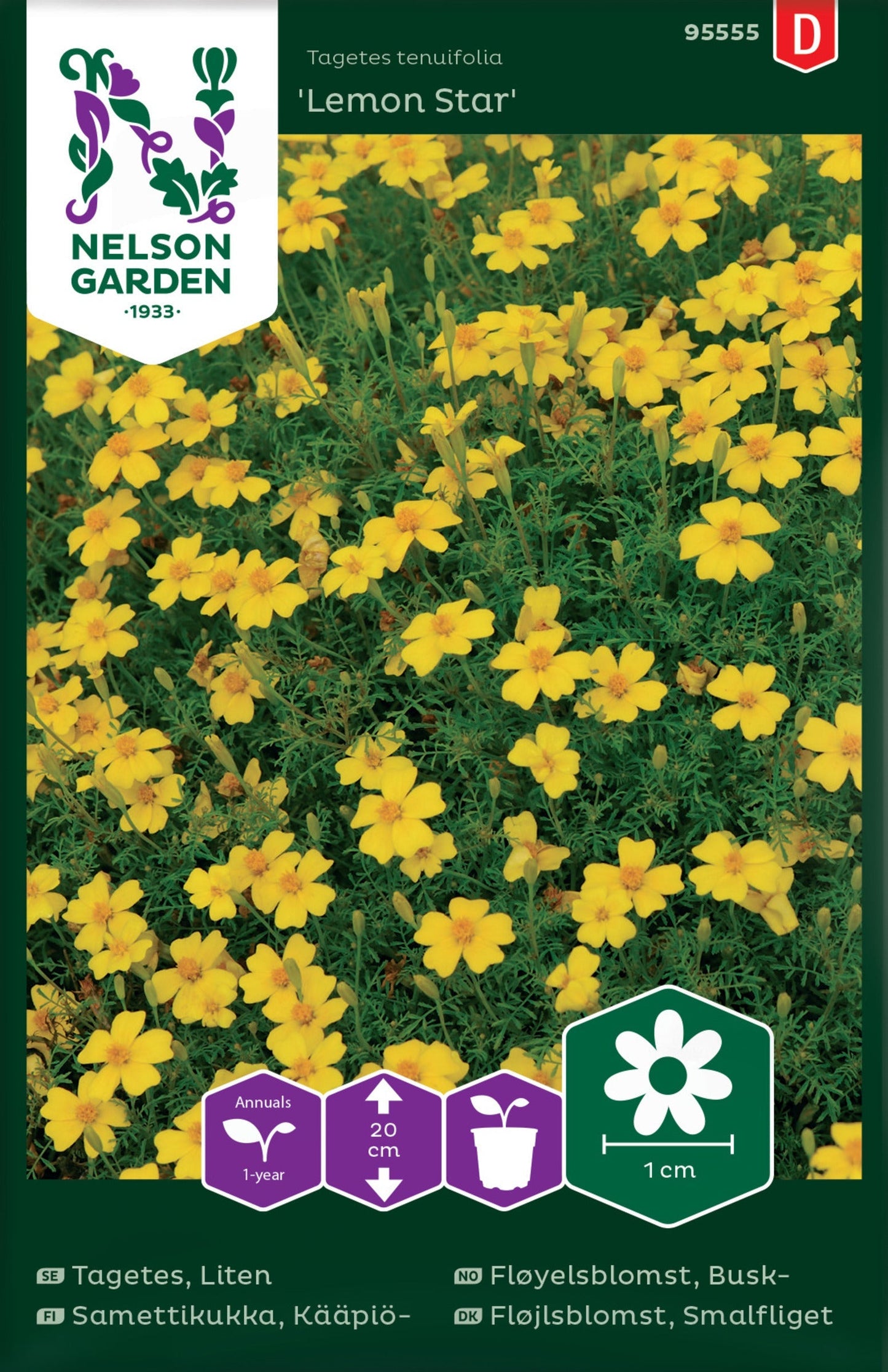 Bilde av Fløyelsblomst, Busk-, Lemon Star-Spanne Plantesalg