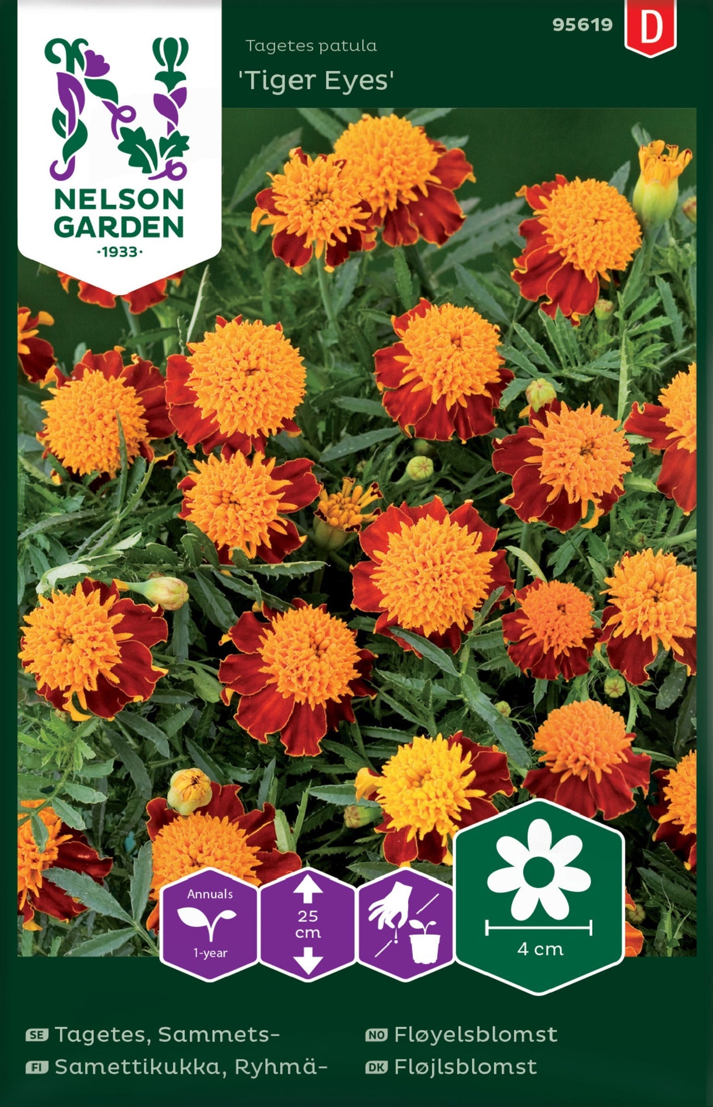 Bilde av Fløyelsblomst, Tiger Eyes, lav-Spanne Plantesalg