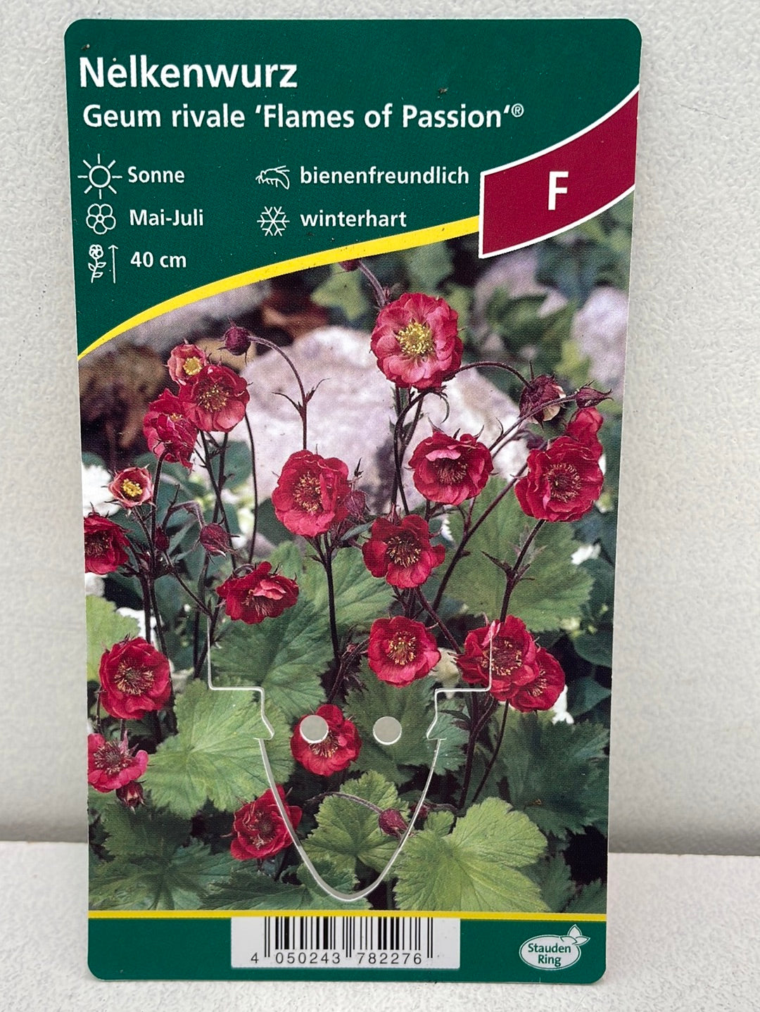 Bilde av Geum R. 'Flames of Passion'-Spanne Plantesalg