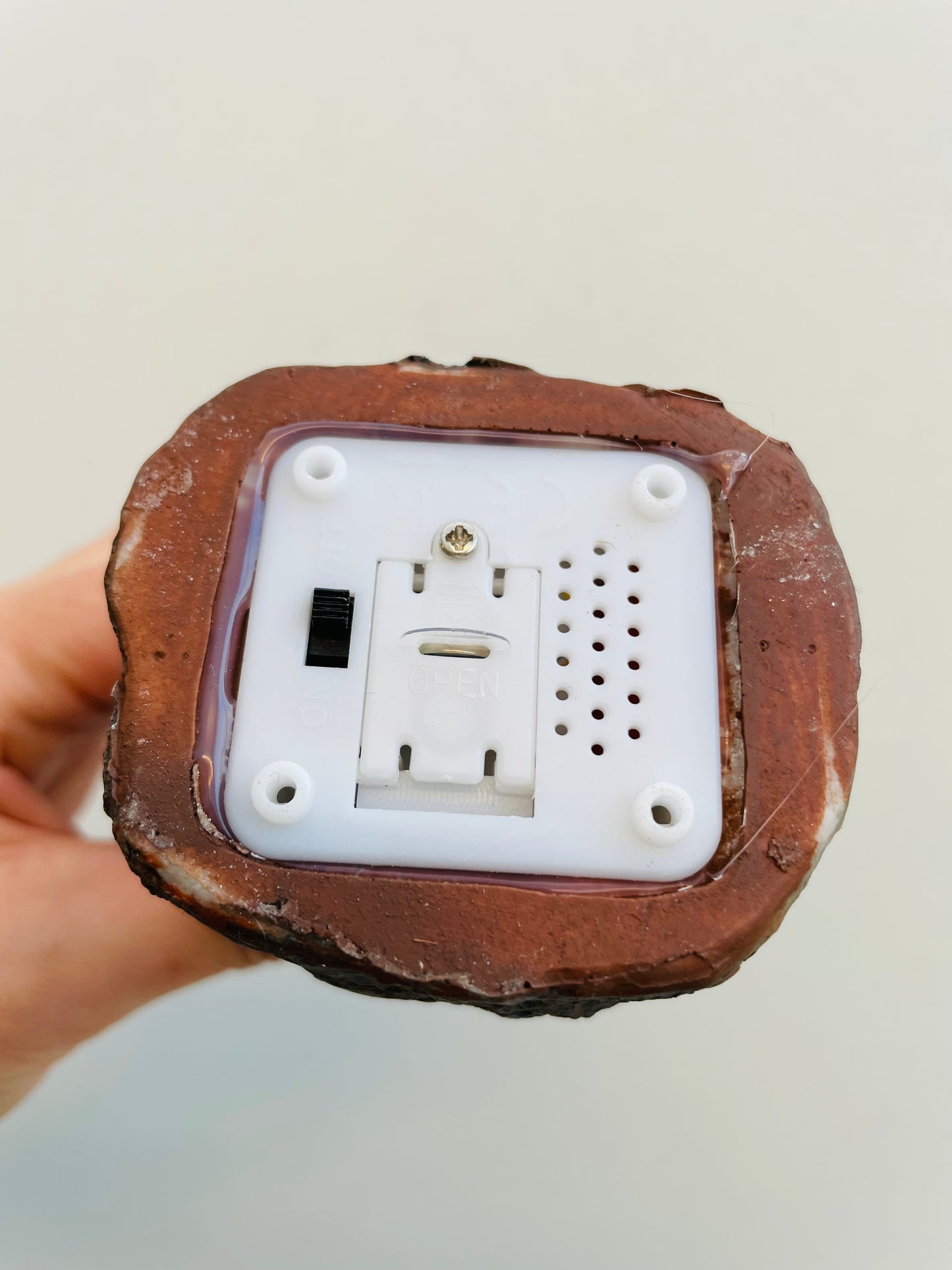 Bilde av Hane med lyd-Spanne Plantesalg