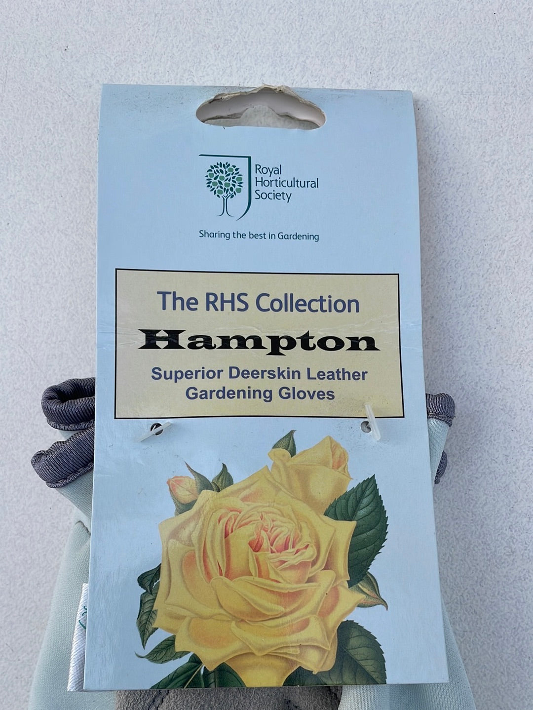 Bilde av Hanske rose S/M-Spanne Plantesalg