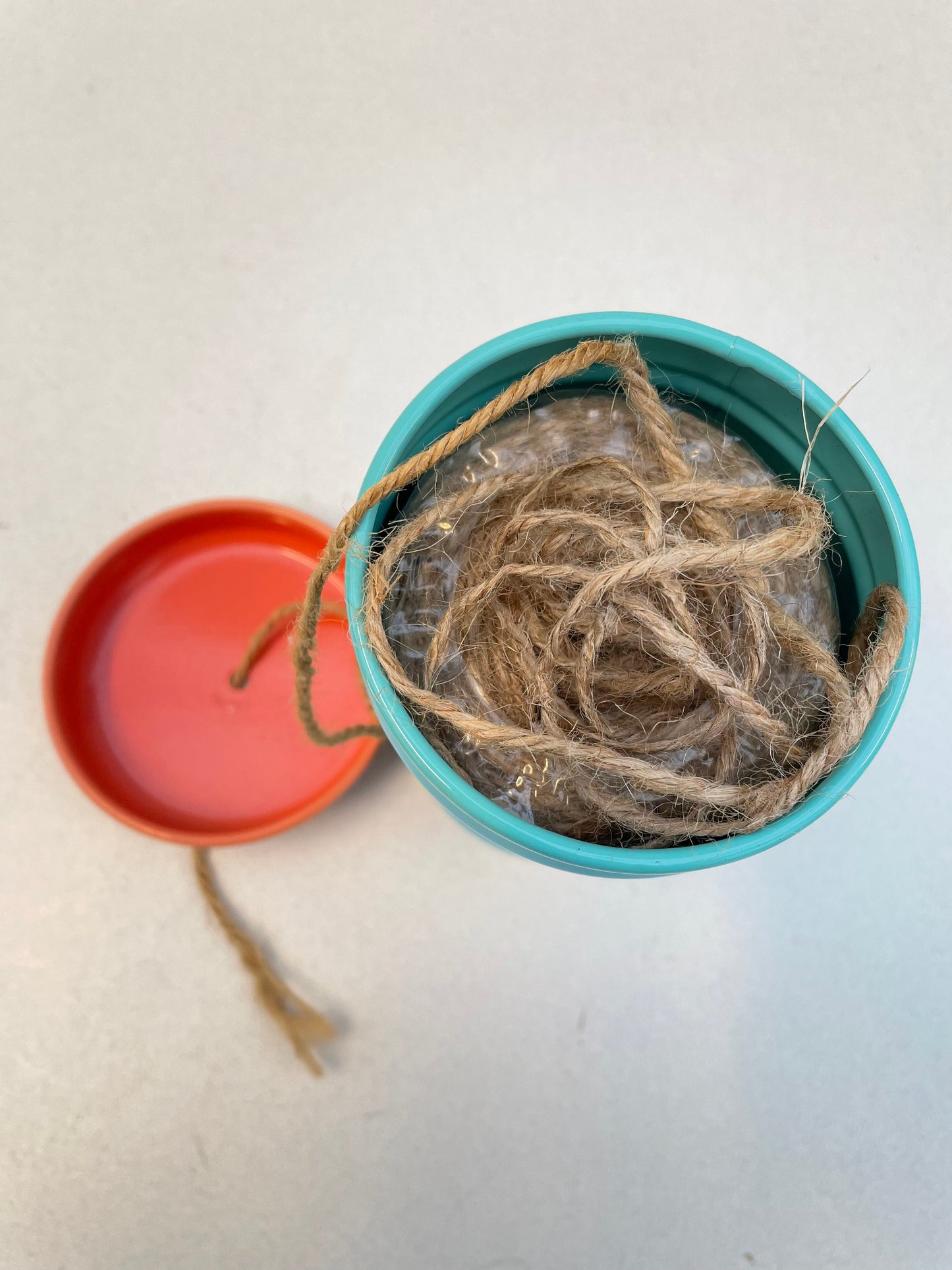 Bilde av Hyssing i boks med blomster blå-Spanne Plantesalg