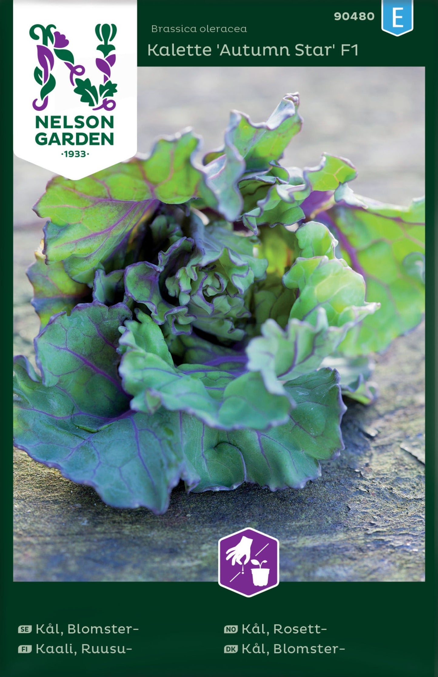 Bilde av Kål, Rosett-, Autumn Star-Spanne Plantesalg