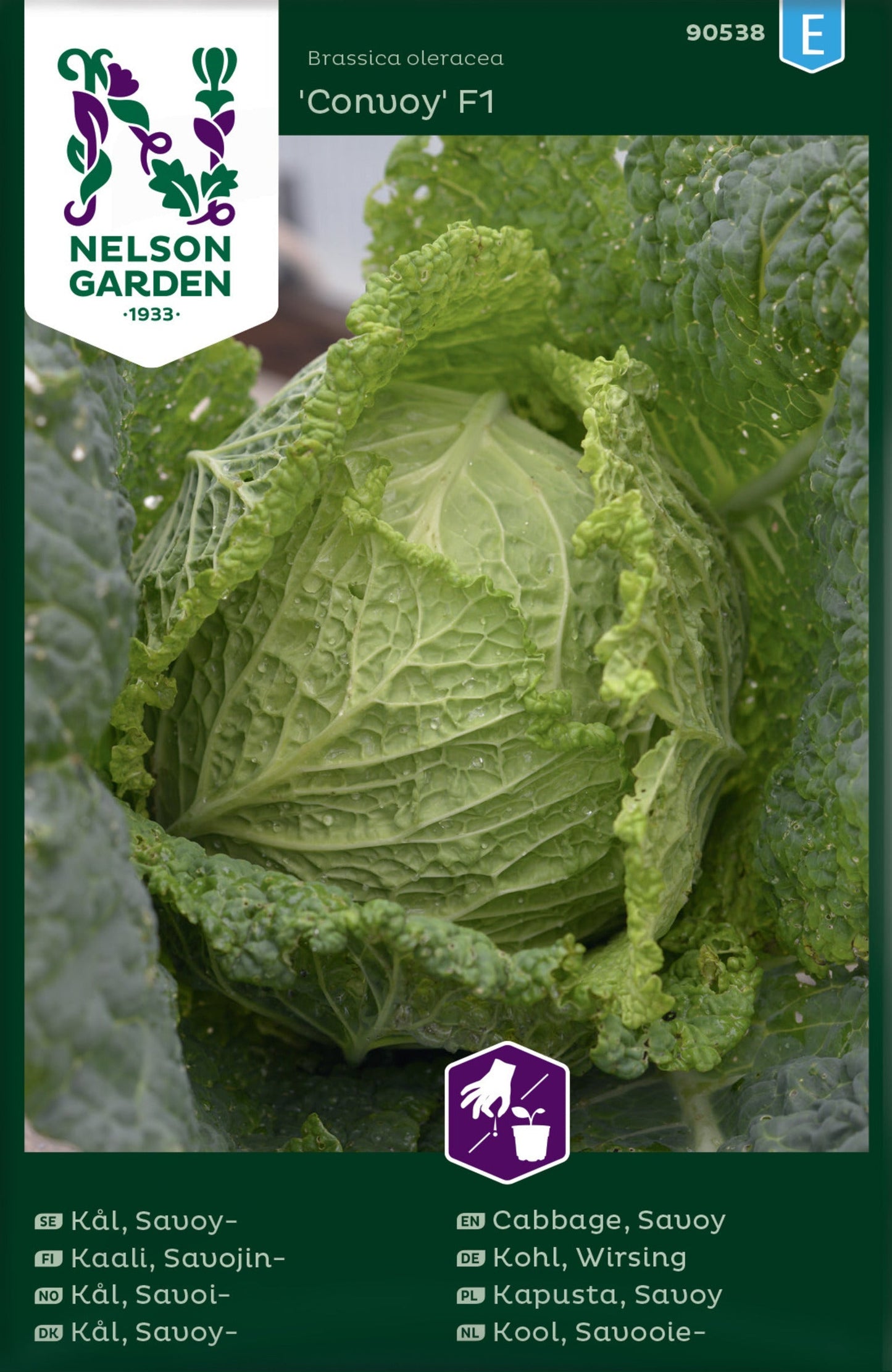 Bilde av Kål, Savoi-, Convoy F1-Spanne Plantesalg