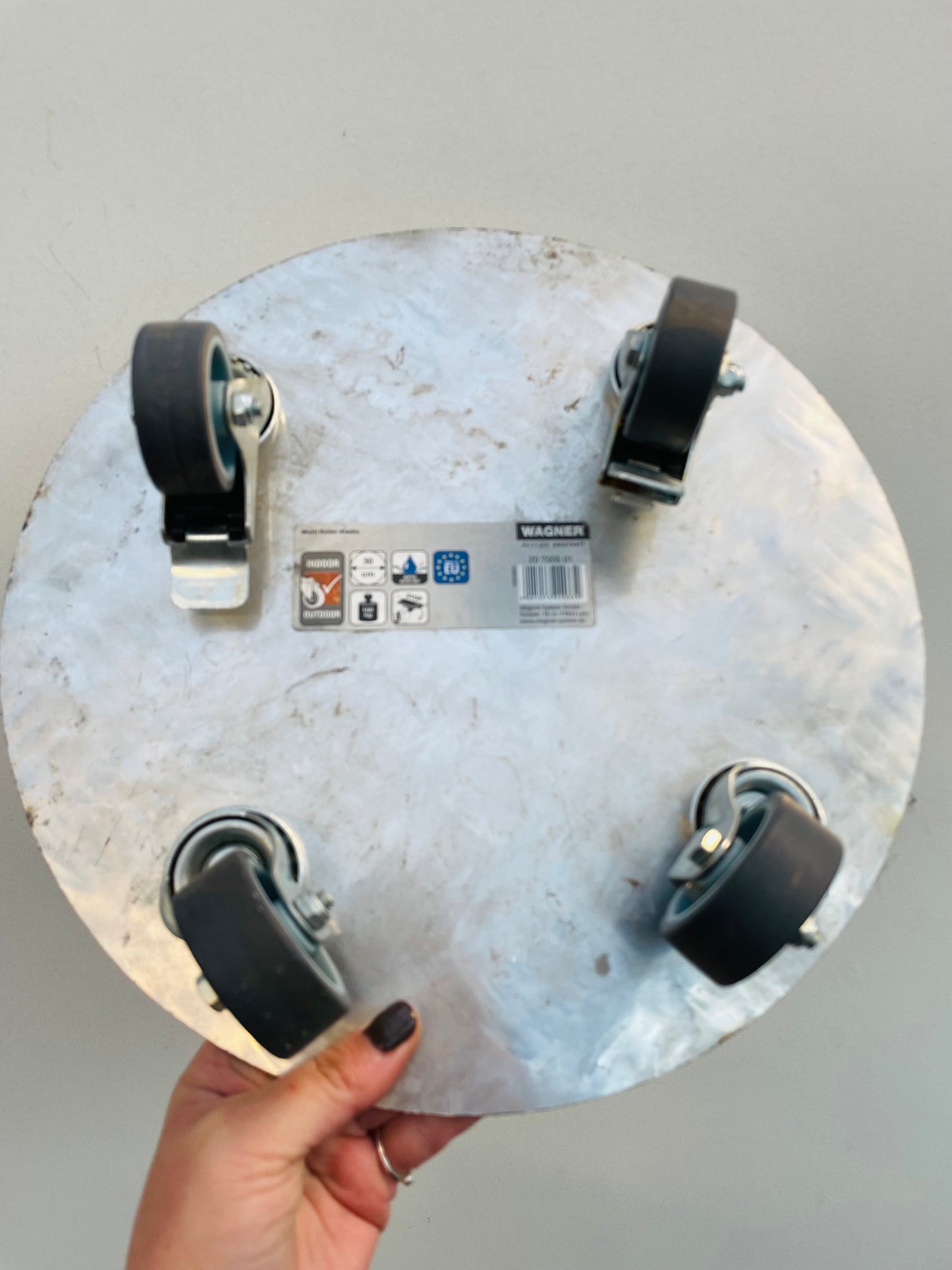 Bilde av Krukketralle ‘Alaska’-Spanne Plantesalg