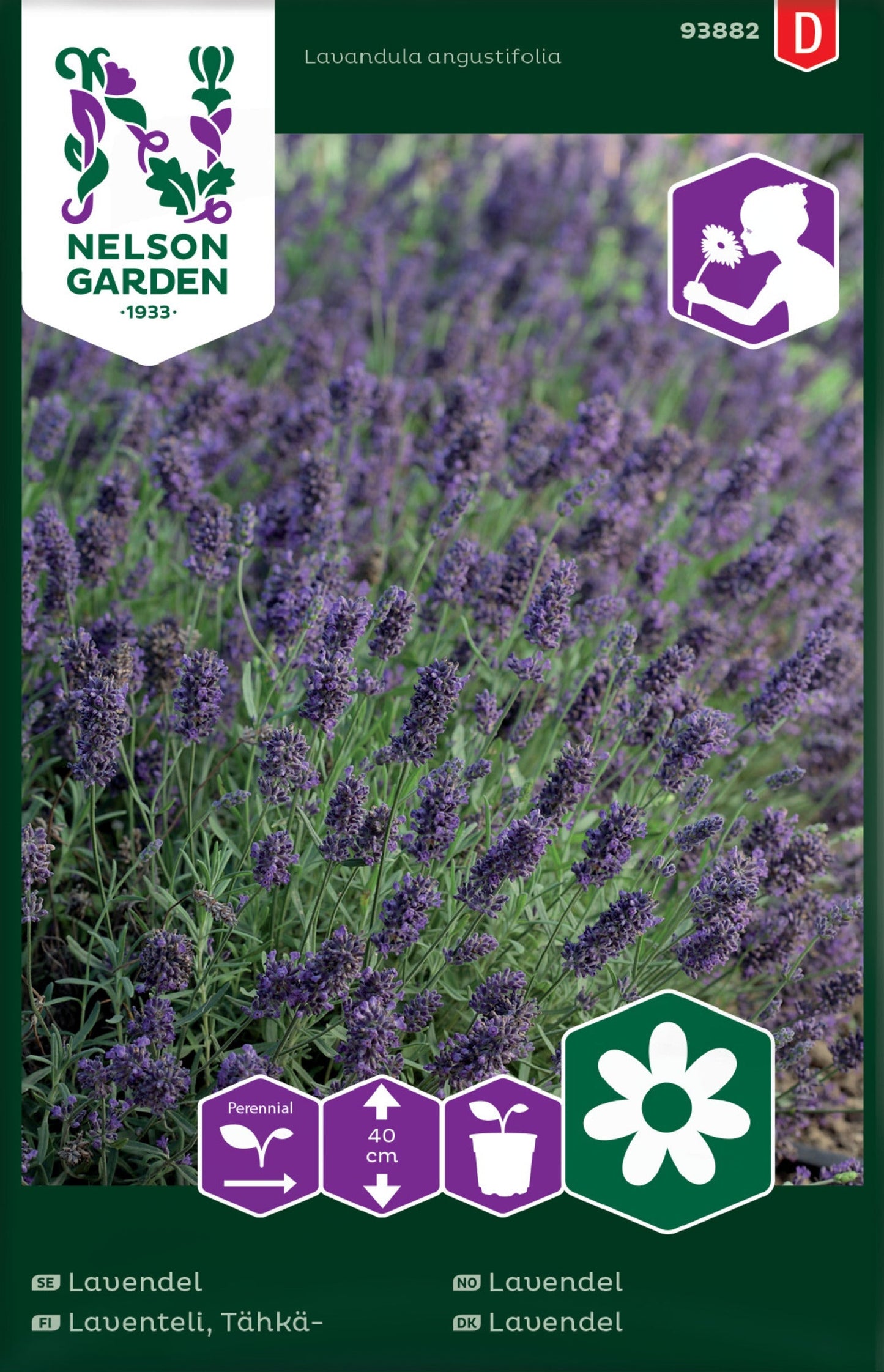 Bilde av Lavendel-Spanne Plantesalg