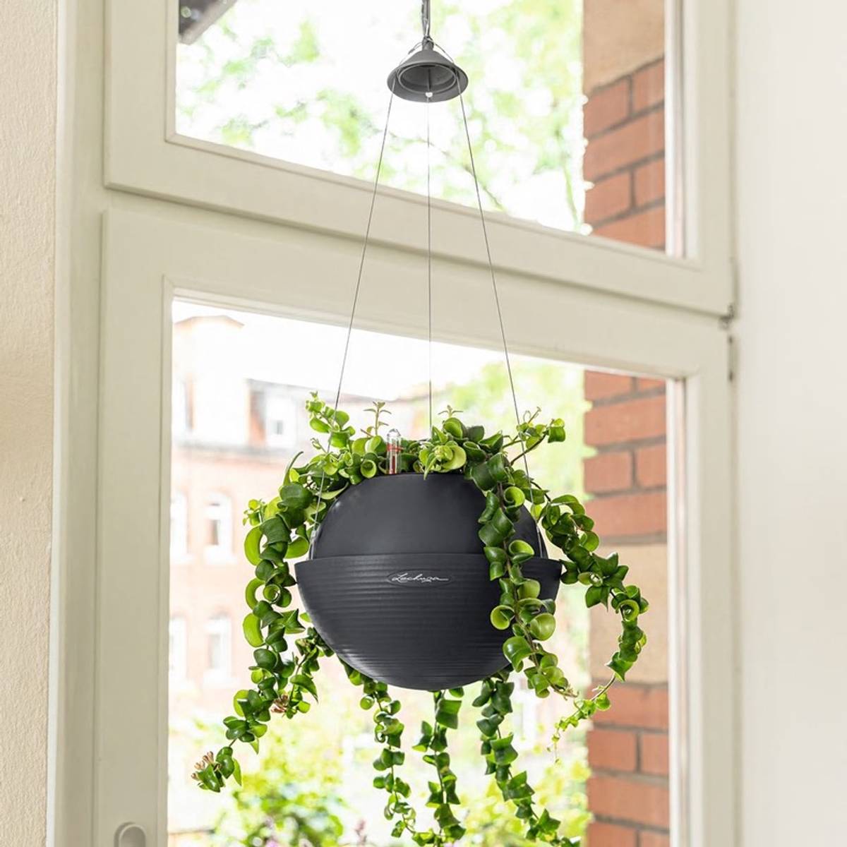 Bilde av Lechuza Bola grå 23 cm-Spanne Plantesalg