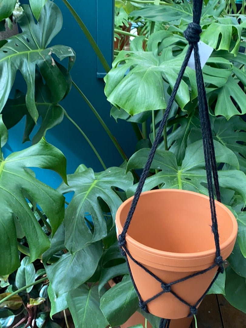 Bilde av Makrame hemp Sort-Spanne Plantesalg