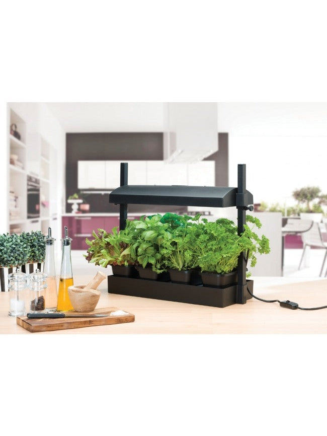 Bilde av Minihage med selvvanningssystem og lys-Spanne Plantesalg
