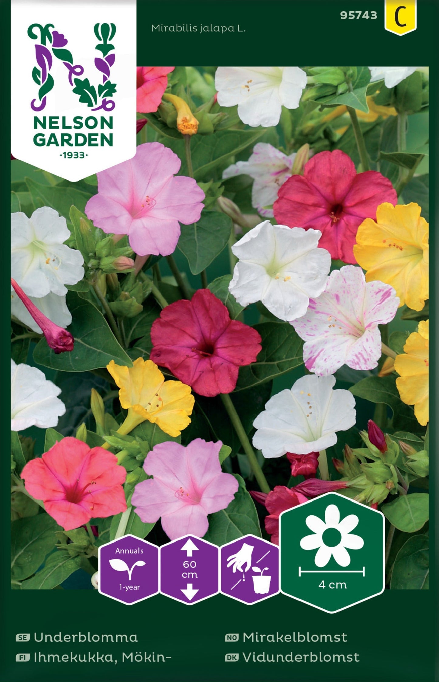 Bilde av Mirakelblomst, blandede farger-Spanne Plantesalg
