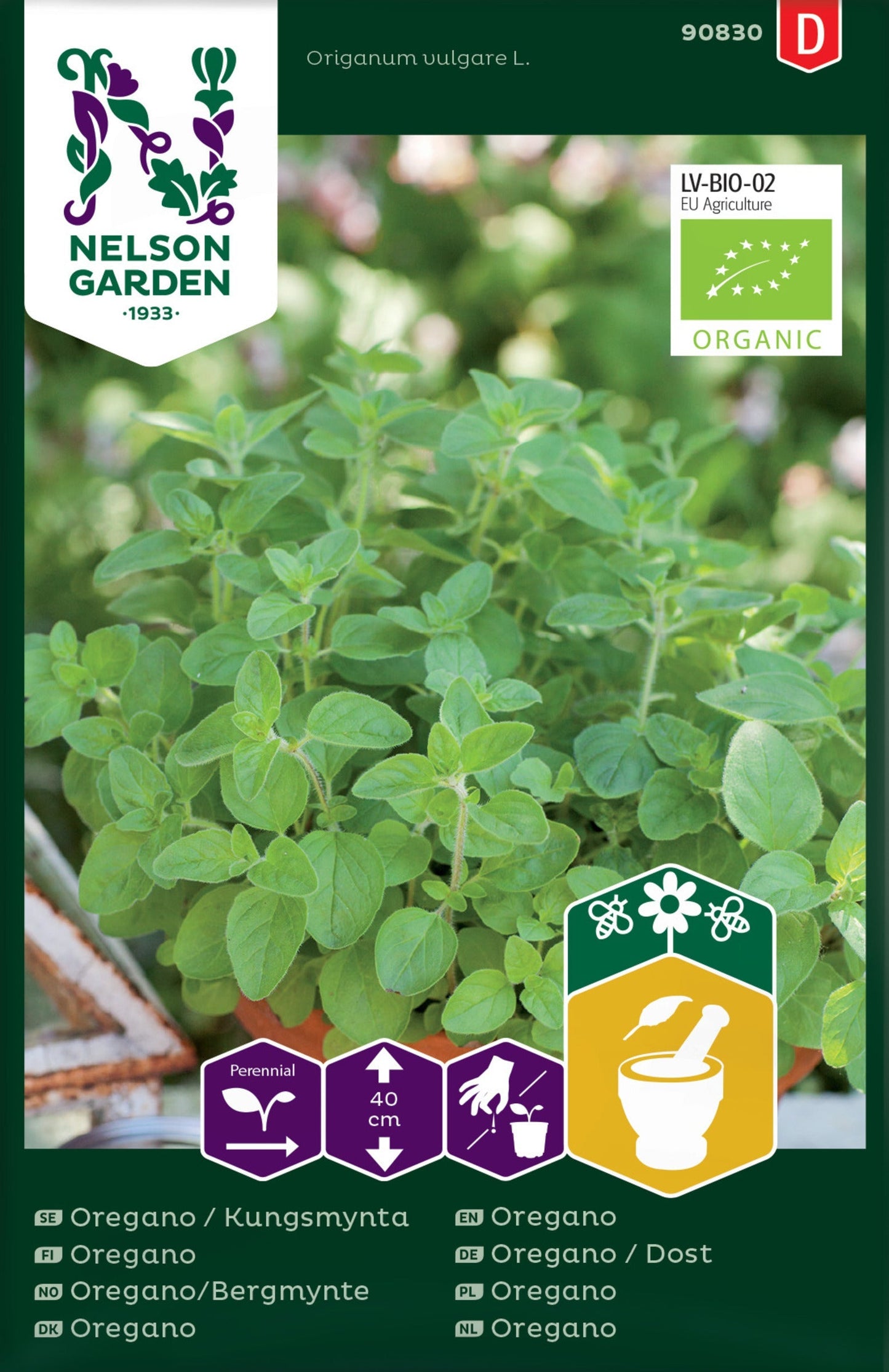 Bilde av Oregano, Bergmynte, Organic-Spanne Plantesalg