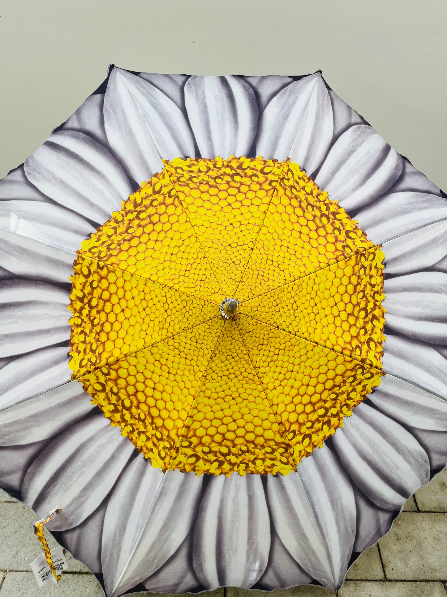Bilde av PARAPLY BLOMSTER-Spanne Plantesalg