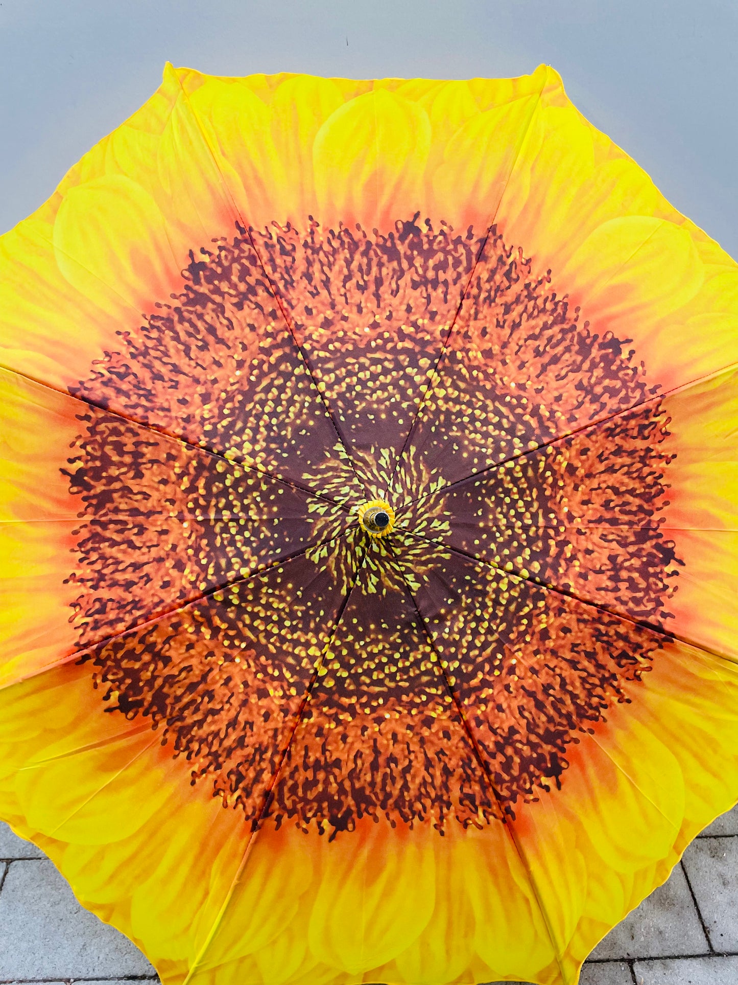 Bilde av PARAPLY BLOMSTER-Spanne Plantesalg