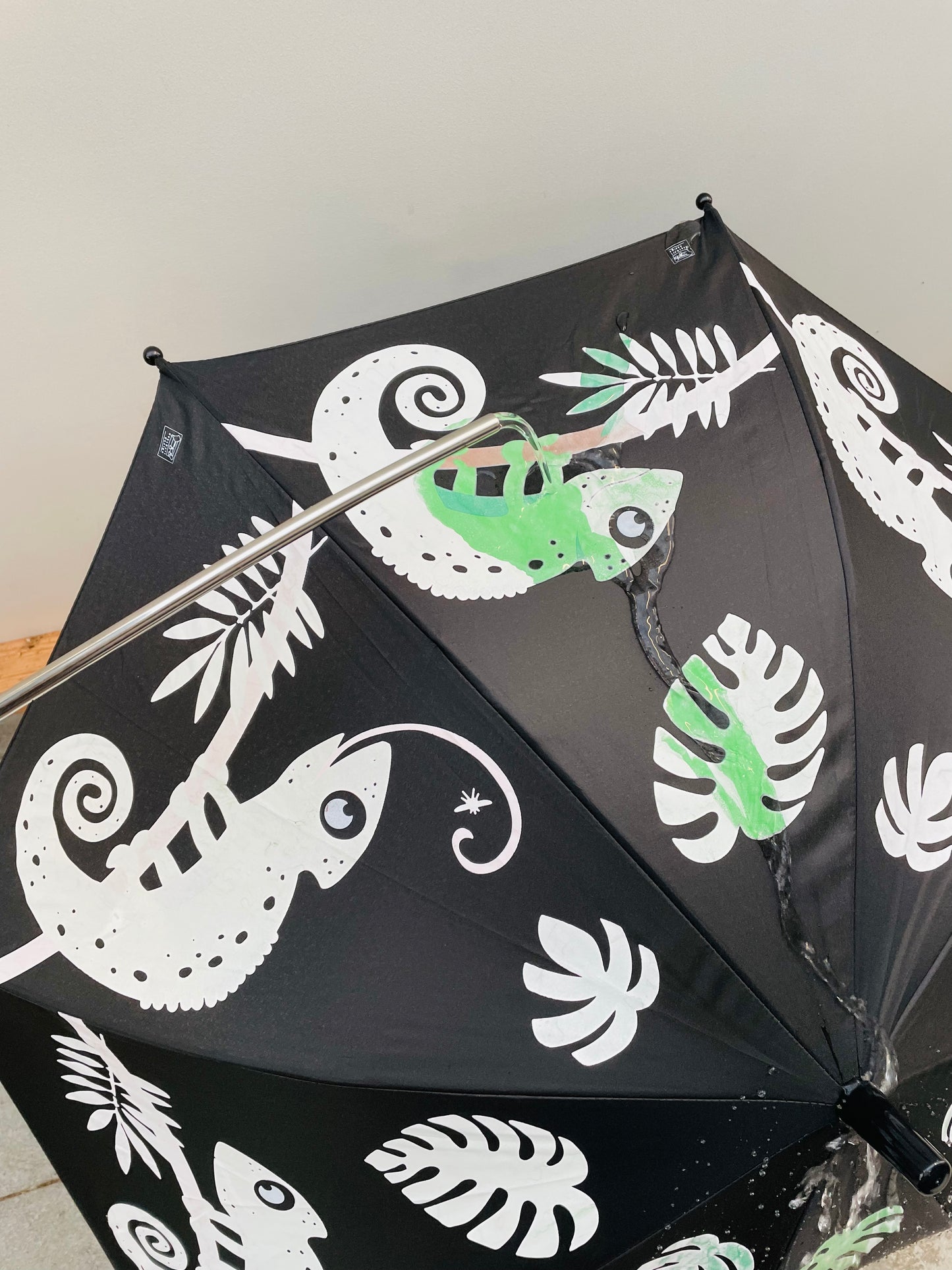 Bilde av PARAPLY CHAMELEON-Spanne Plantesalg