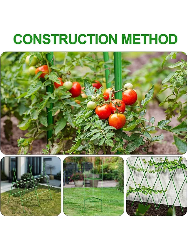 Bilde av Plantepinne i plast grønn-Spanne Plantesalg