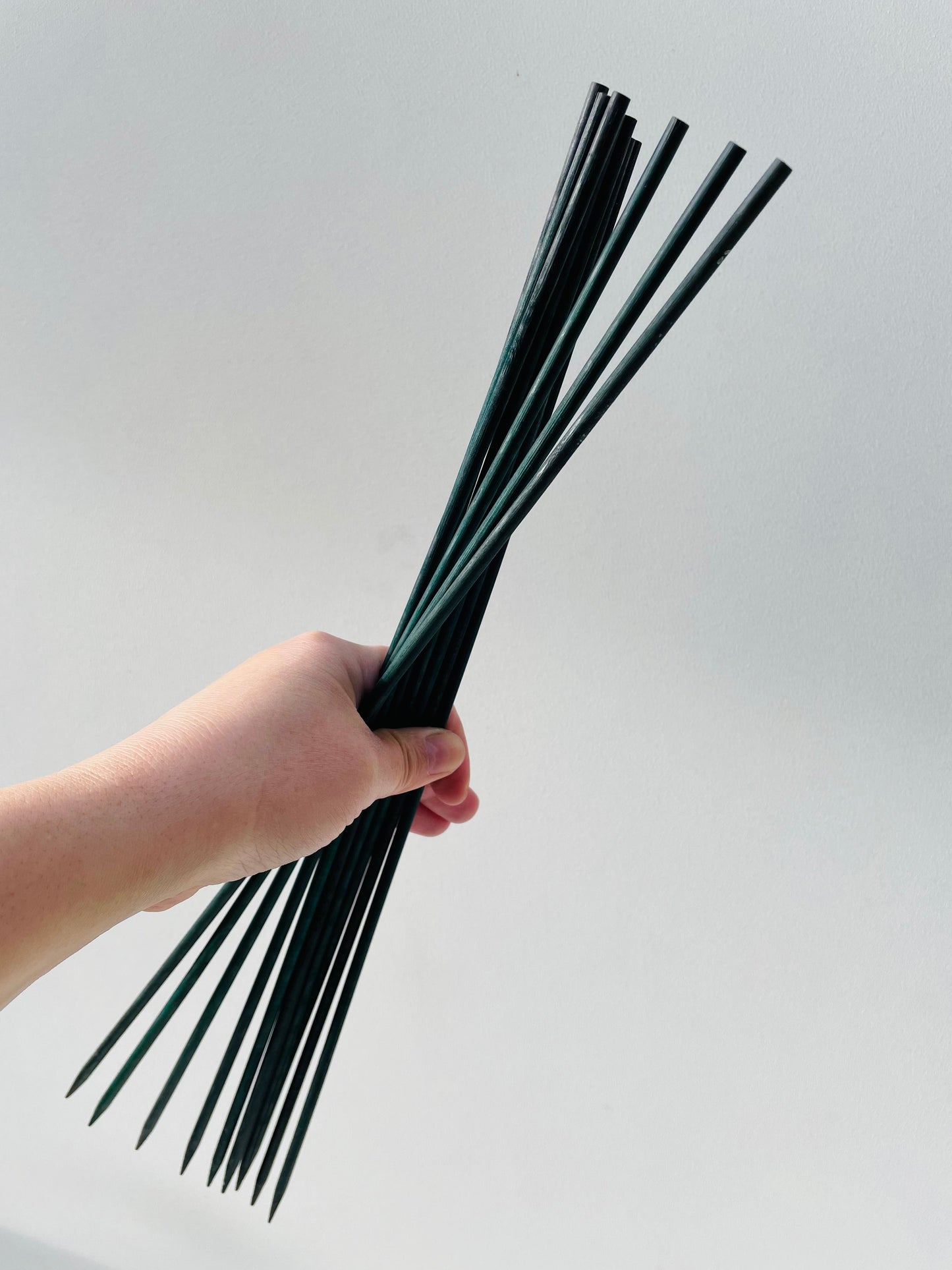 Bilde av Plantepinner 40 cm 10 Stk-Spanne Plantesalg