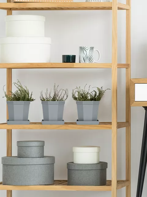 Bilde av Plastpotte med fat grå 10 st-Spanne Plantesalg