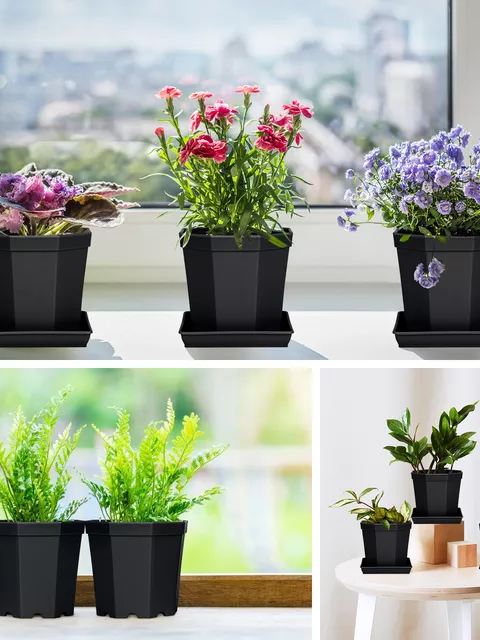 Bilde av Plastpotte med fat sort 10 st-Spanne Plantesalg