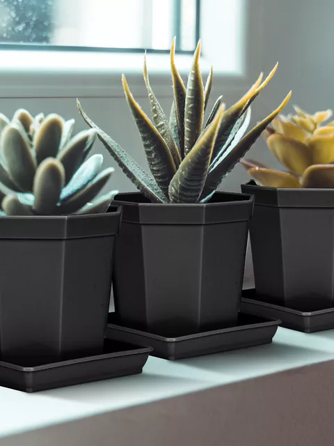 Bilde av Plastpotte med fat sort 10 st-Spanne Plantesalg