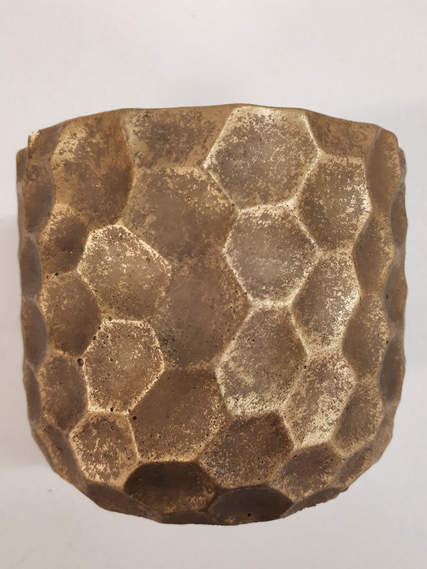 Bilde av Potteskjuler honning 10 cm-Spanne Plantesalg