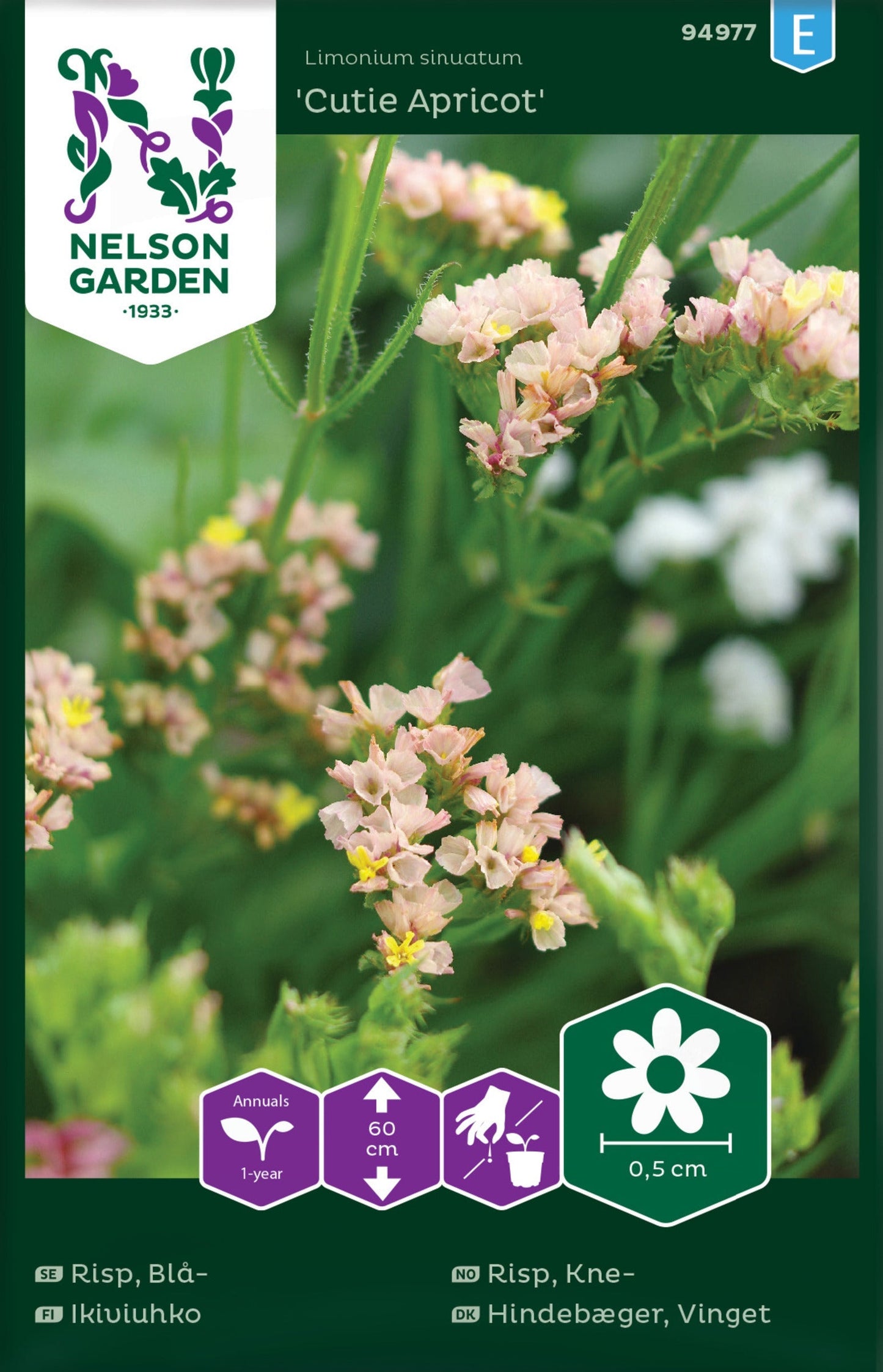 Bilde av Risp, Kne-, Cutie Apricot-Spanne Plantesalg