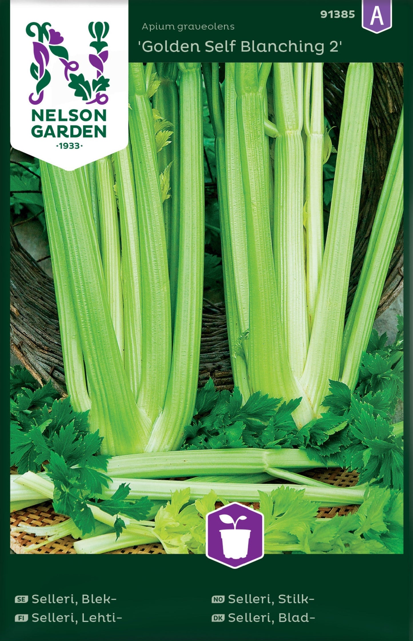 Bilde av Selleri, Stilk-, Golden Self Blanching 2-Spanne Plantesalg