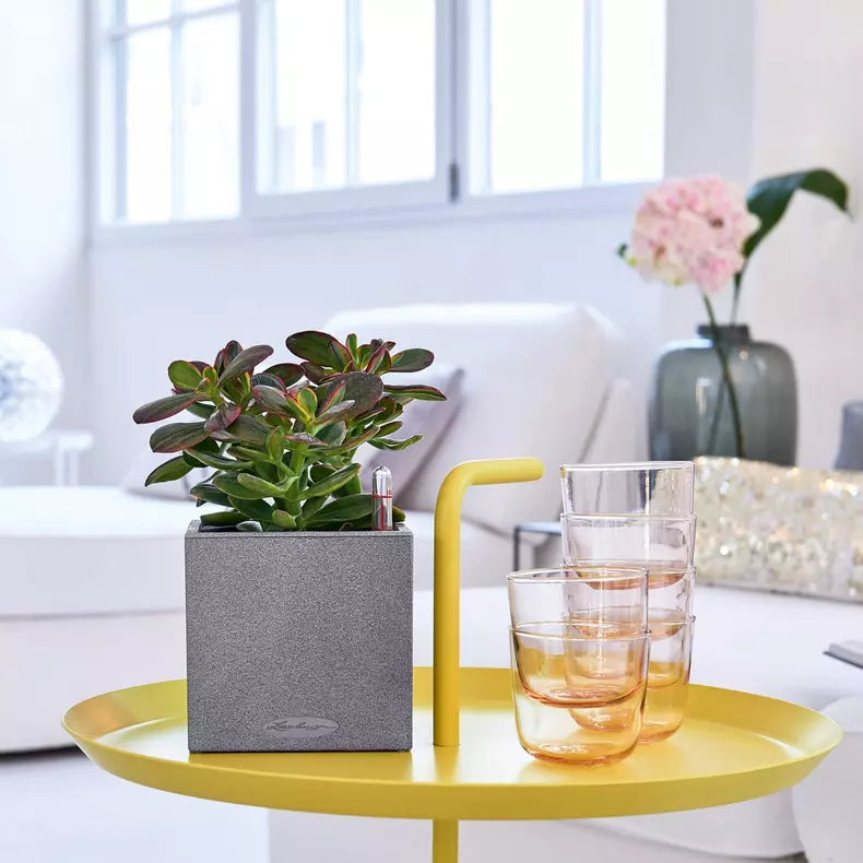 Bilde av Selvvanningspotte Lechuza Canto Stone 14-Spanne Plantesalg