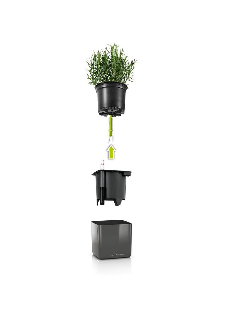 Bilde av Selvvanningspotte Lechuza Cube Glossy 14-Spanne Plantesalg