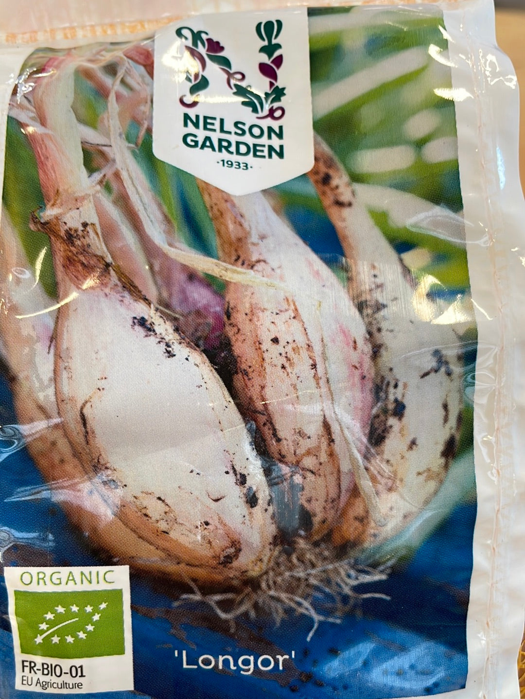 Bilde av Setteløk Sjalottløk avlang ØKO-Spanne Plantesalg