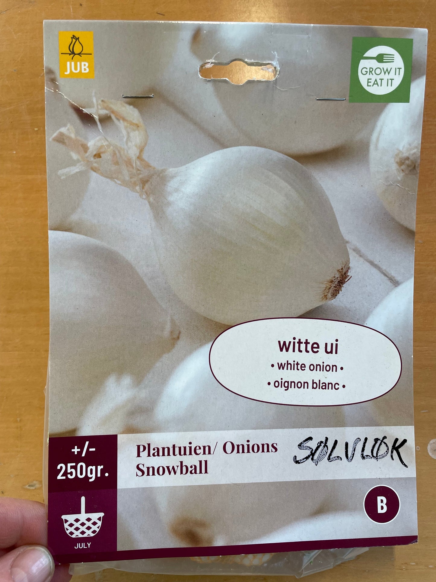 Bilde av Setteløk sølvløk-Spanne Plantesalg