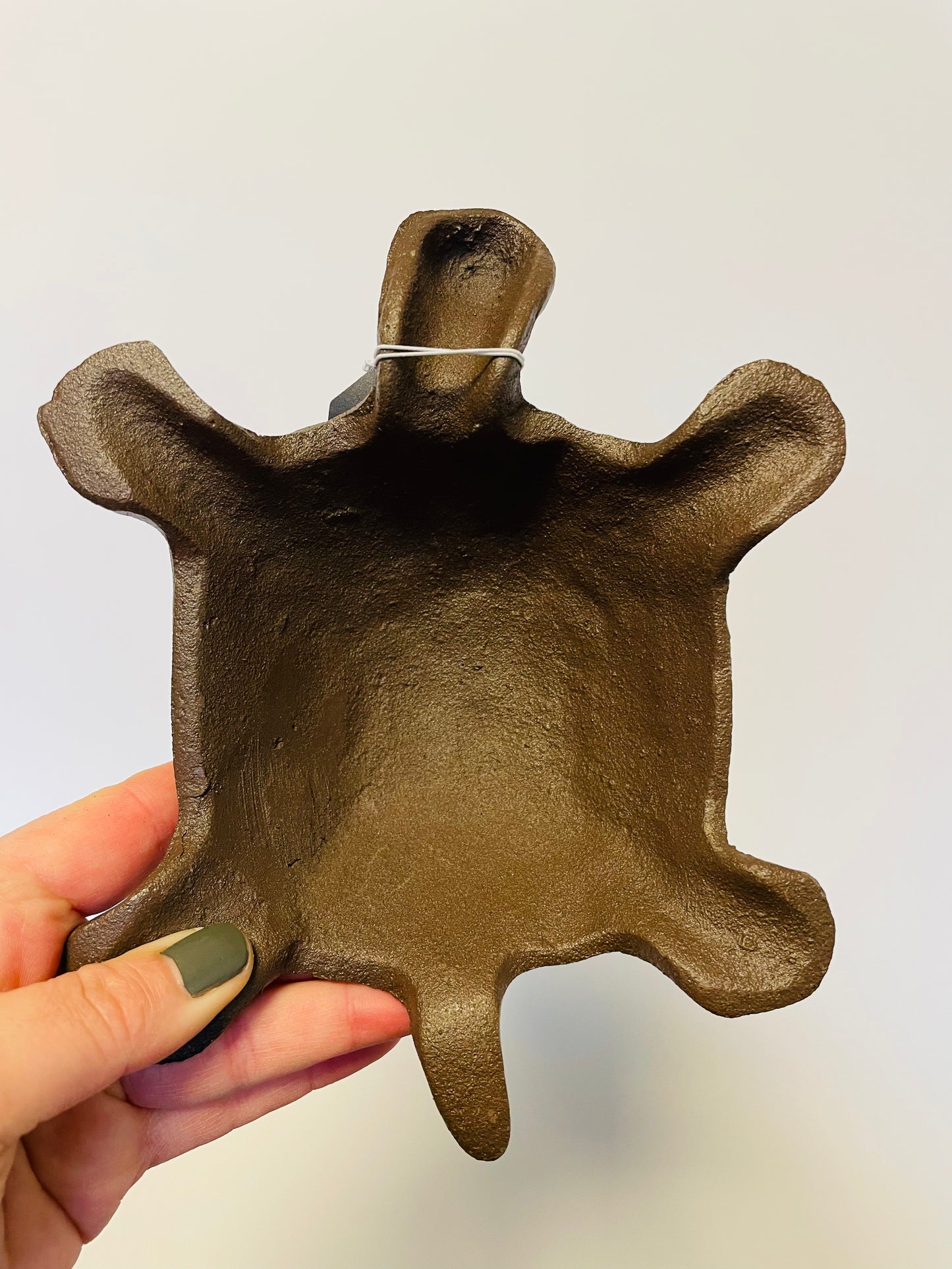 Bilde av Skilpadde M-Spanne Plantesalg